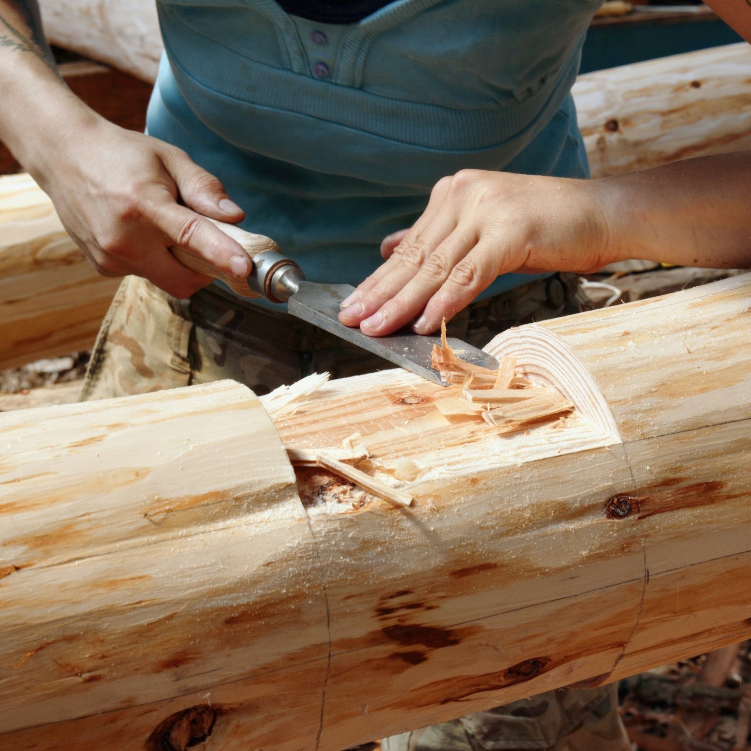How To Choose The Perfect Wood Species